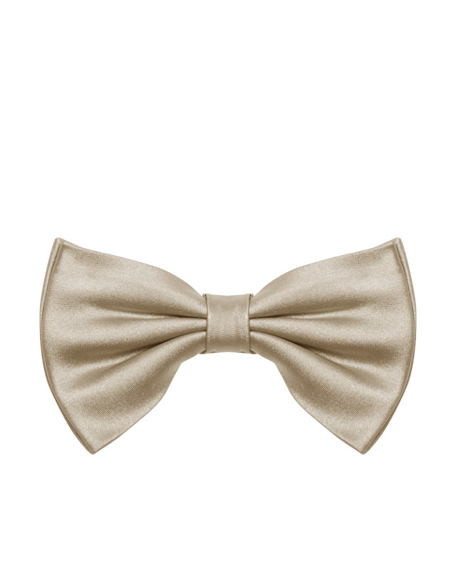 [NICKY] Tie FW26 GALLECUBOACHAMPAGNE