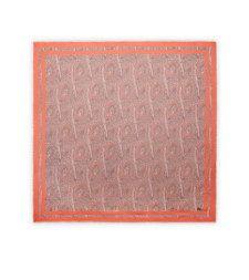 [Etro] Scarf FW26 WAYA0001AKE96S9870 MULTICOLOUR PINK