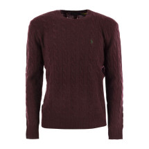 [Polo Ralph Lauren] Knitwear CO 710876762 011