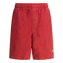 [Stussy] Shorts FW25 1123280601 RED