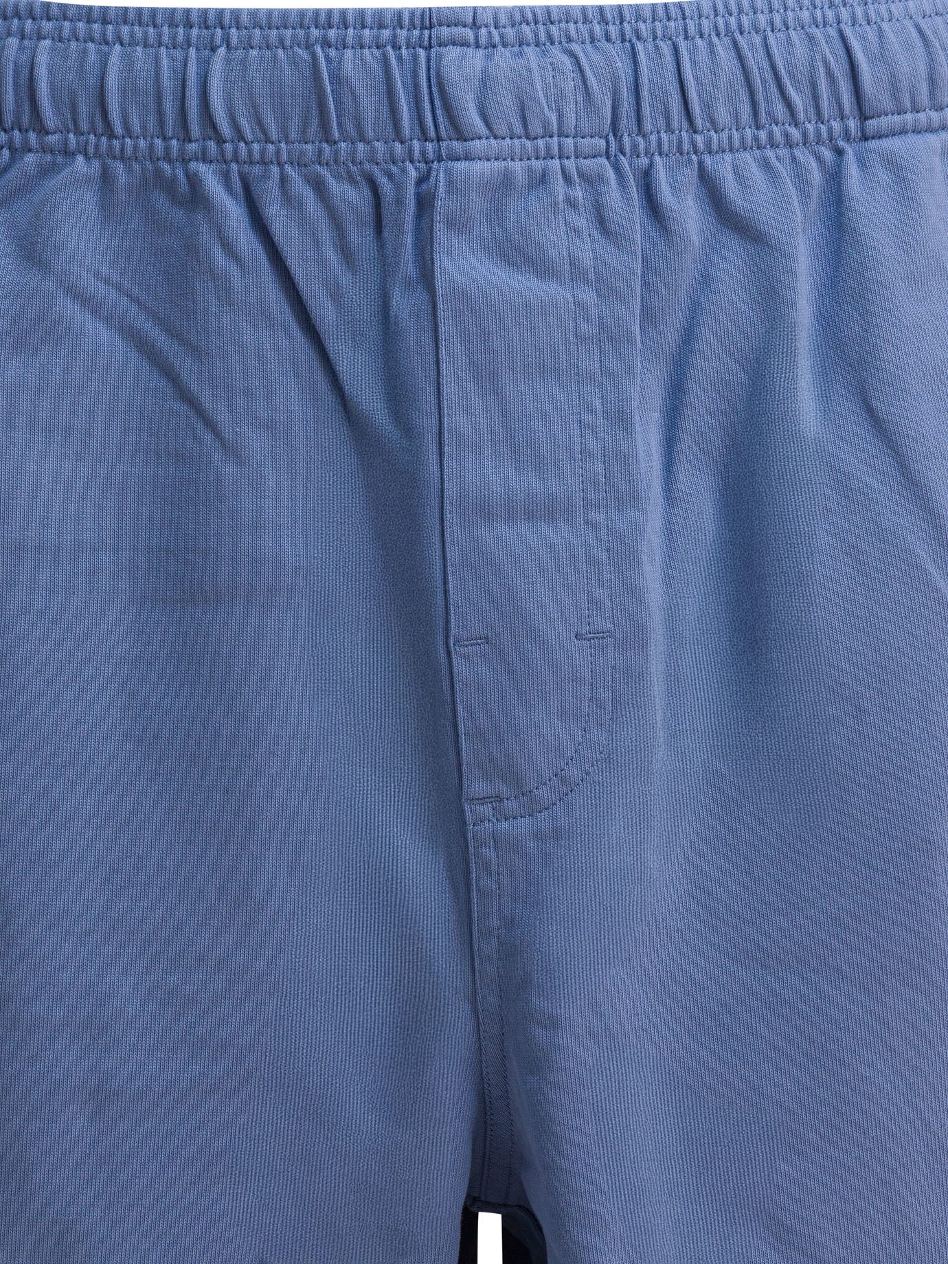 [Stussy] Shorts FW25 1123340801 BLUE
