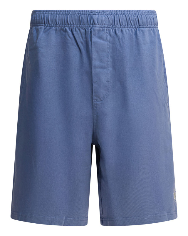 [Stussy] Shorts FW25 1123340801 BLUE