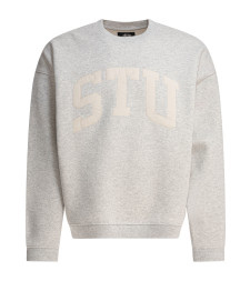 [Stussy] Sweatshirt FW25 1185770062 ASH HEATHER