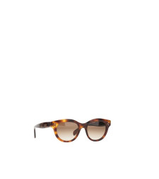 [Celine] Sunglasses SS26 4S332CPLB19HD-19HD