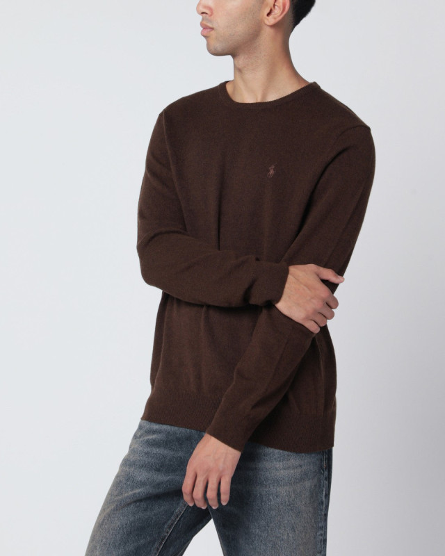 [Polo Ralph Lauren] Knitwear FW25 710974148011WO