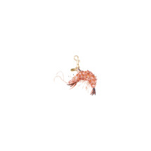 [Anya Hindmarch] Keyring FW26 208574SHRIMP