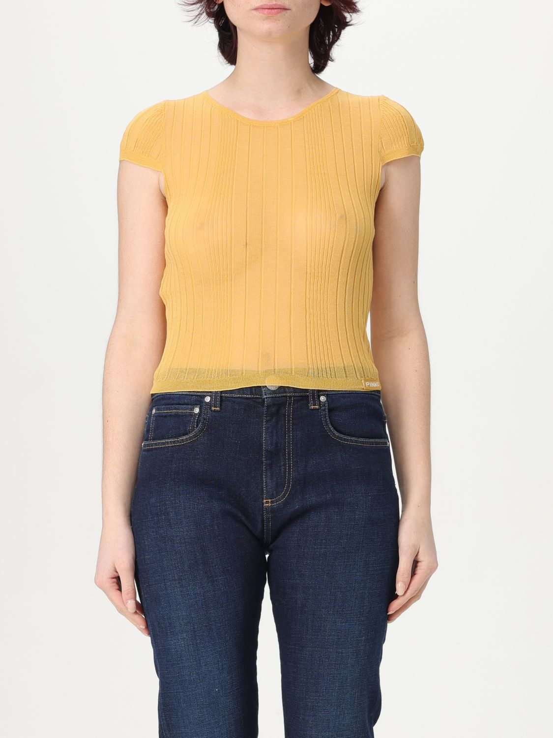 [PINKO] Knitwear FW25 104773A1ND C43