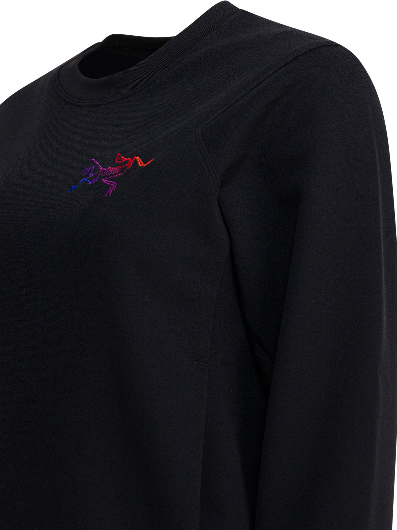 [ARC'TERYX] Sweatshirt FW25 X000009053AESTASBLACK/MULTI