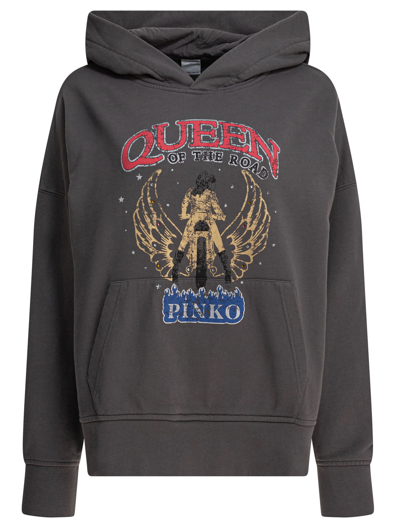 [PINKO] Hoodie SS25 104623A2DBI63
