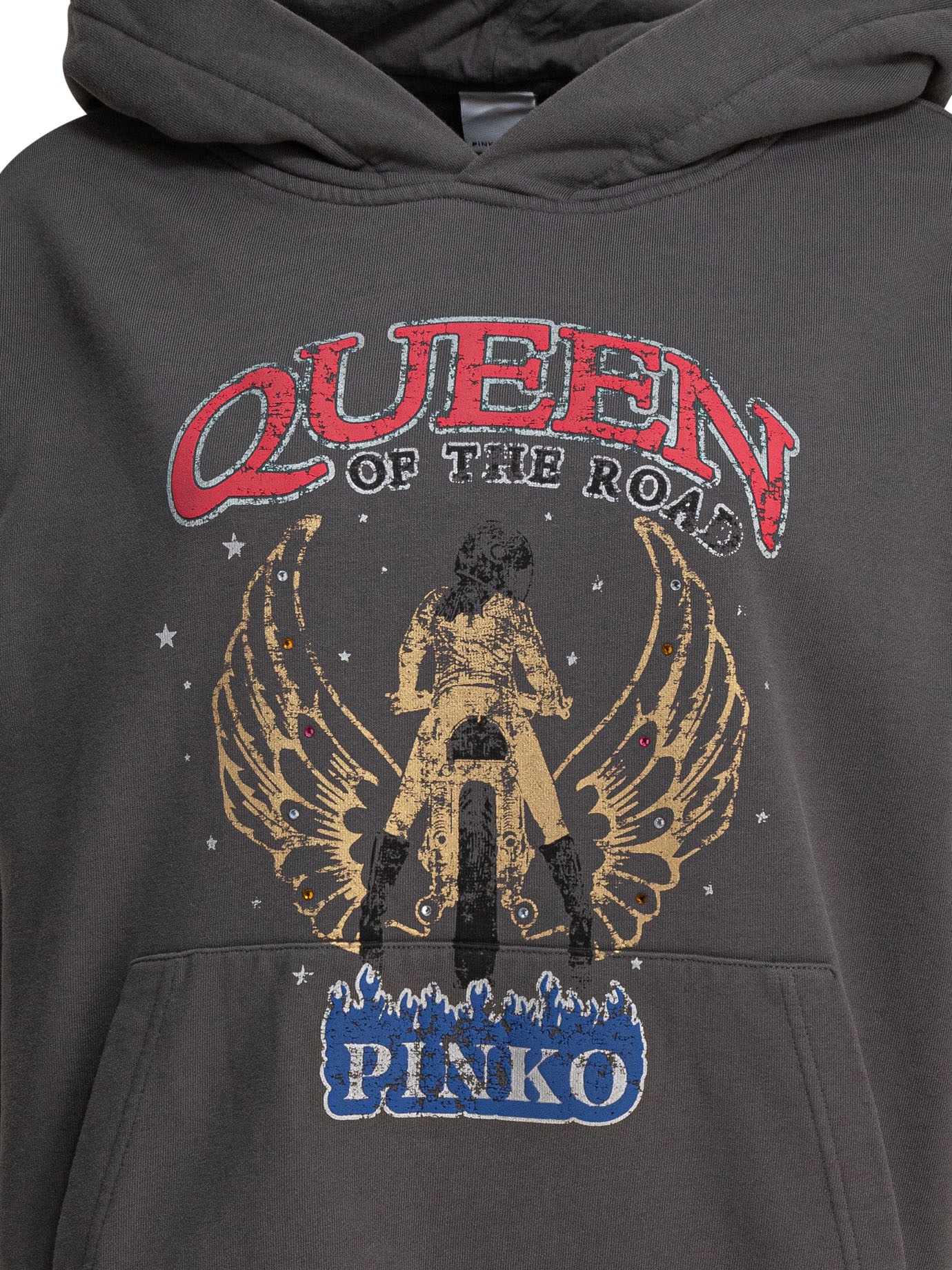 [PINKO] Hoodie SS25 104623A2DBI63