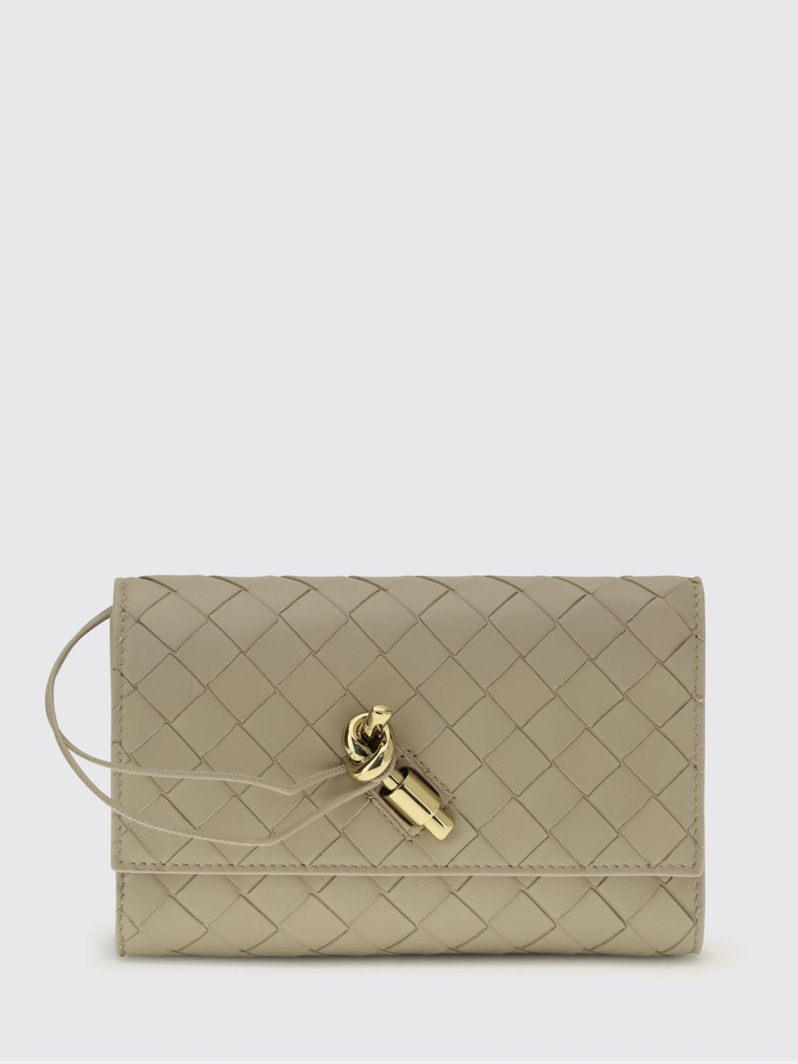 [Bottega Veneta] Pouch SS26 836940VCPP2 9614