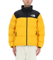 [THE NORTH FACE] Down Jacket FW25 NF0A3C8D_GO81