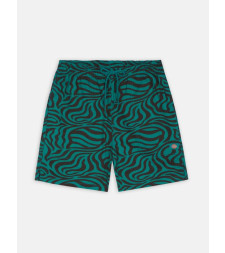 [DICKIES] Shorts SS23 DK0A4Y7YF301
