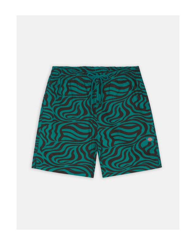 [DICKIES] Shorts SS23 DK0A4Y7YF301