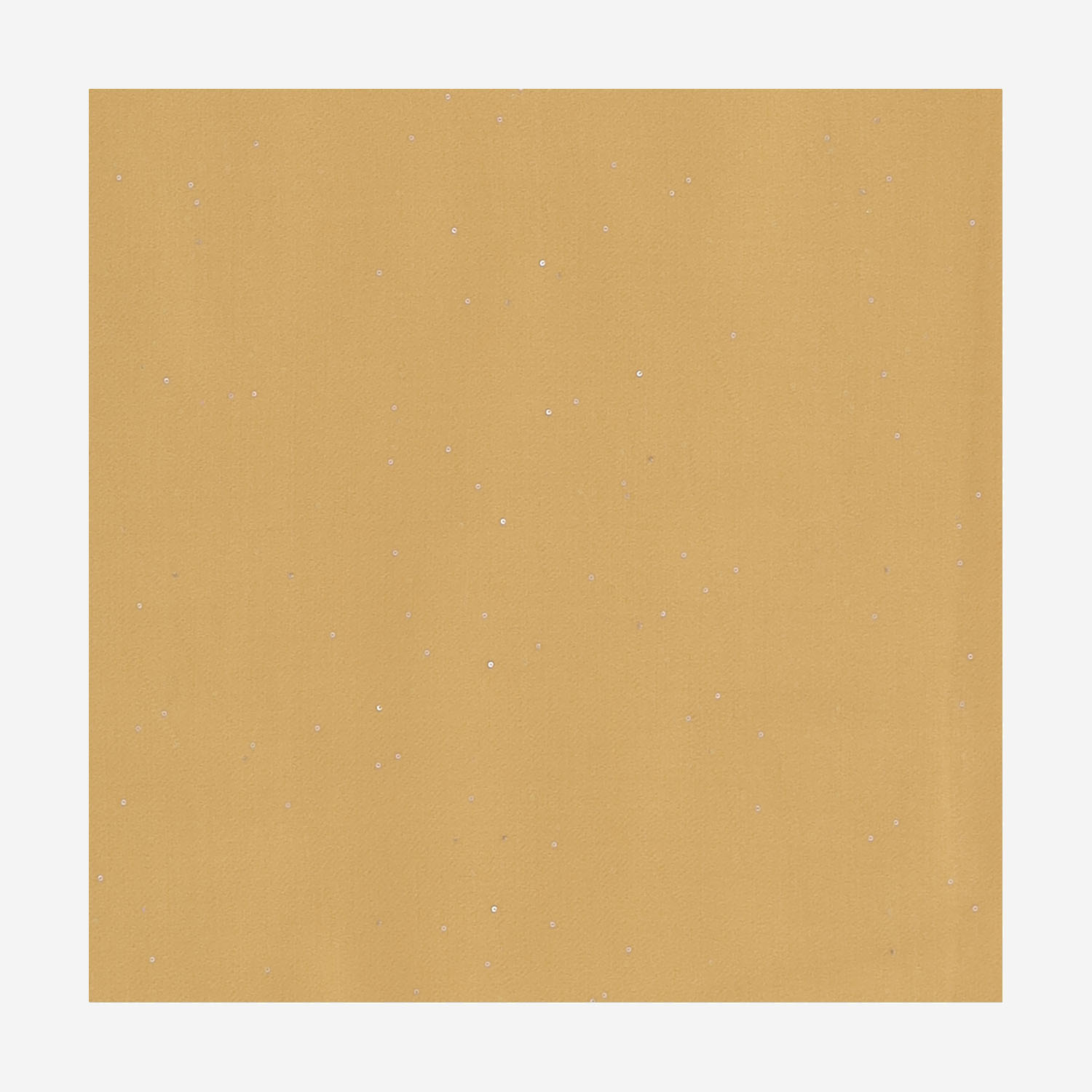 [Faliero Sarti] Scarf SS26 03321269