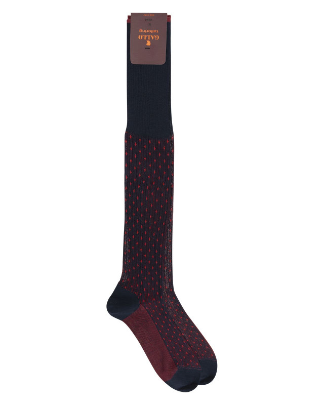 [Gallo] Socks SS24 AP505670 10657