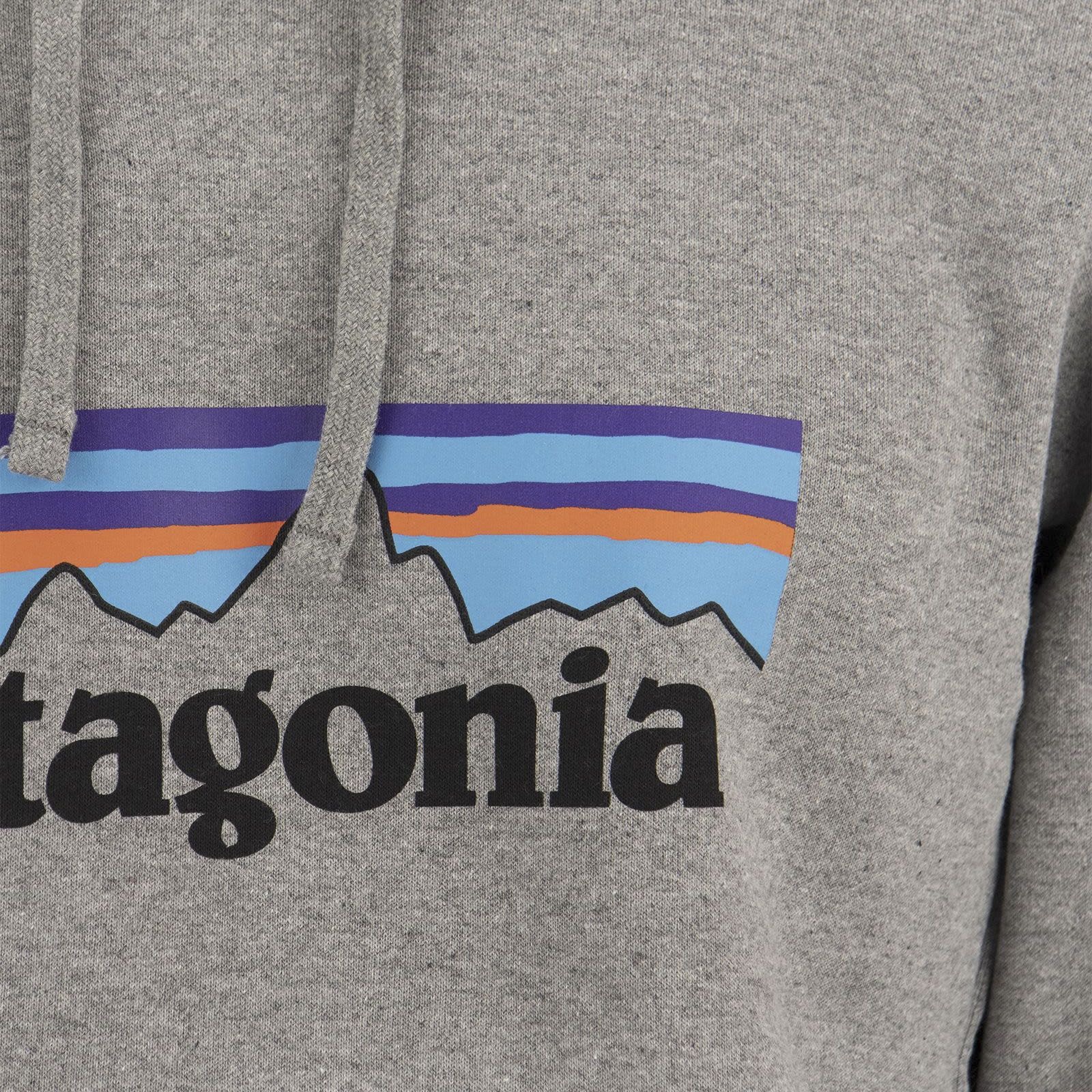 [Patagonia] Hoodie CO 39622 GLH