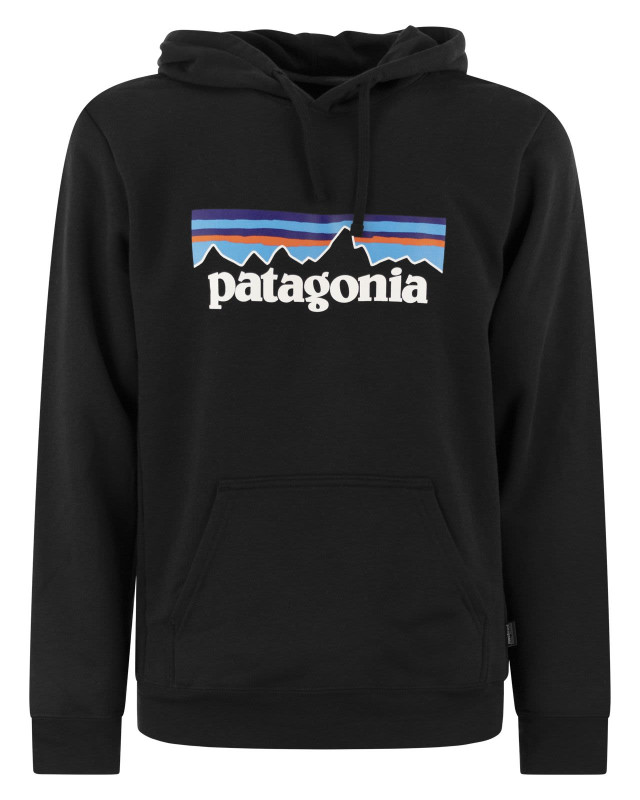 [Patagonia] Hoodie CO 39622 BLK
