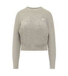 [Isabel Marant] Knitwear FW25 25APU0797FAC3L18E 02GY