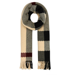 [Burberry] Scarf FW23 8079240 A1450