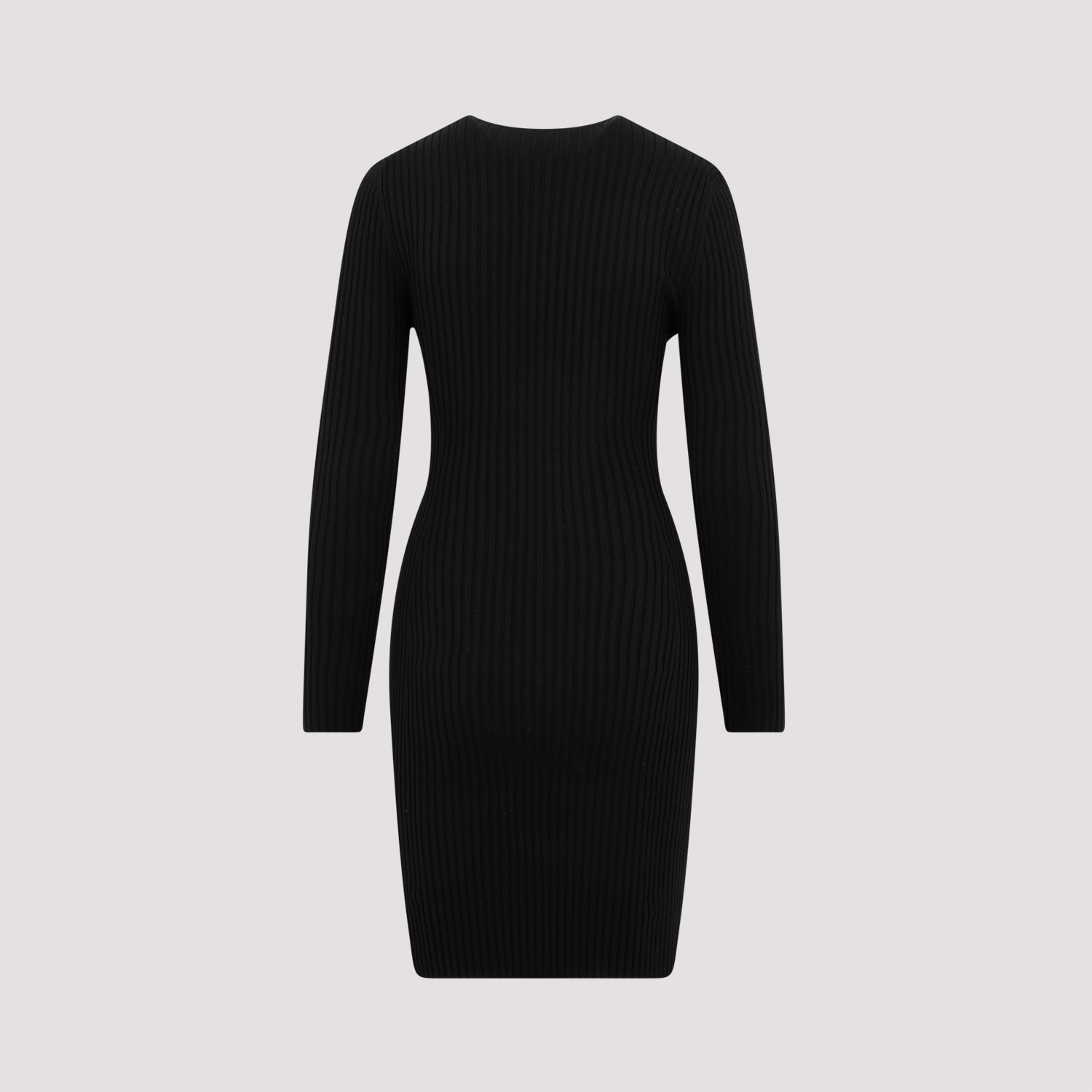 [JONATHAN SIMKHAI X WOLFORD] Long sleeve dress FW23 053291