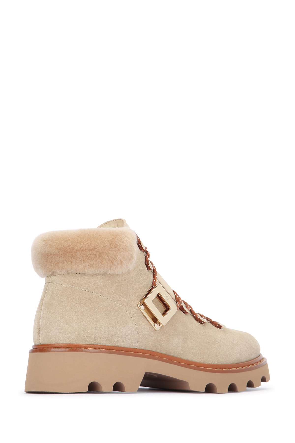 [Roger Vivier] Ankle Boots FW25 RVW78443460USL 5QQH
