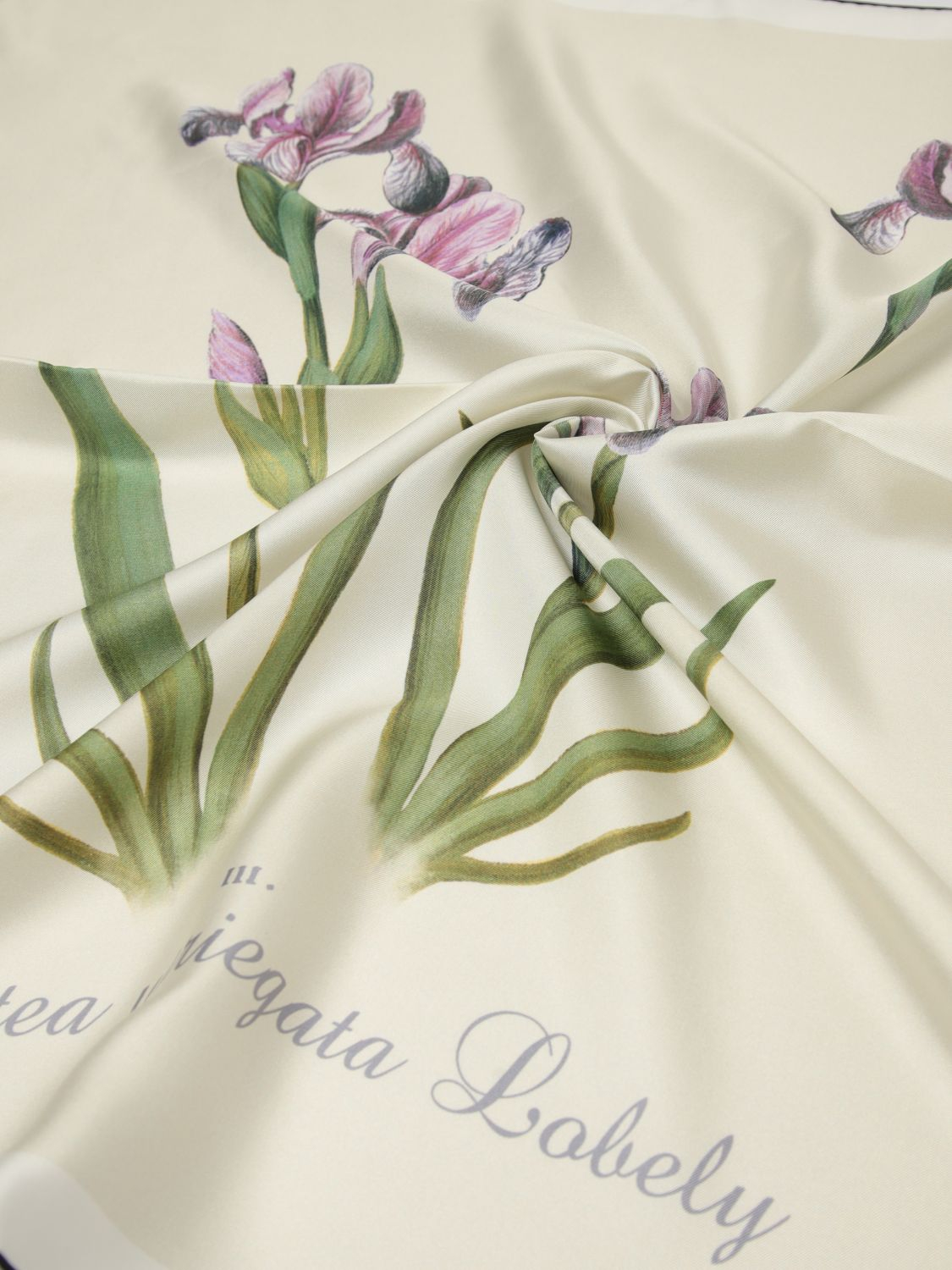 [Alberta Ferretti] Scarf SS26 3303 1670 2888
