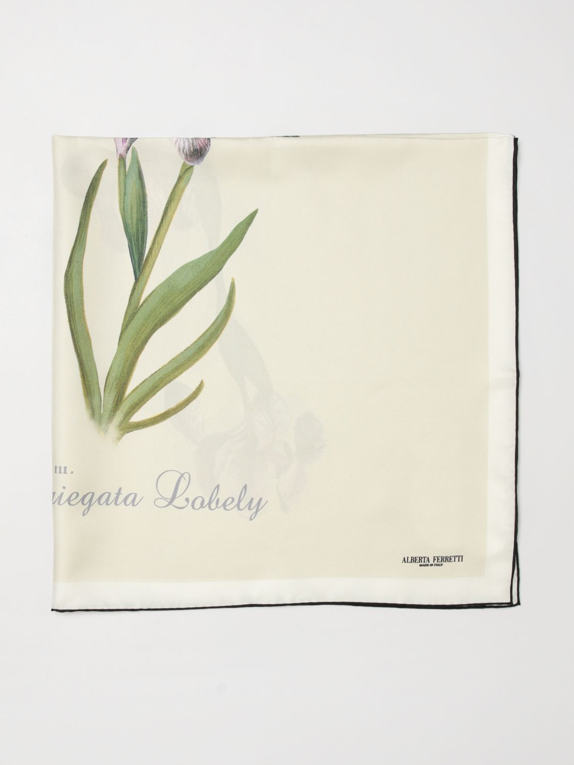 [Alberta Ferretti] Scarf SS26 3303 1670 2888