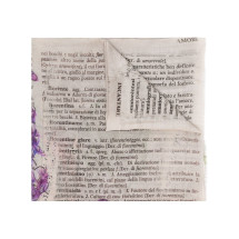 [Faliero Sarti] Scarf SS21 2073LICIA76980