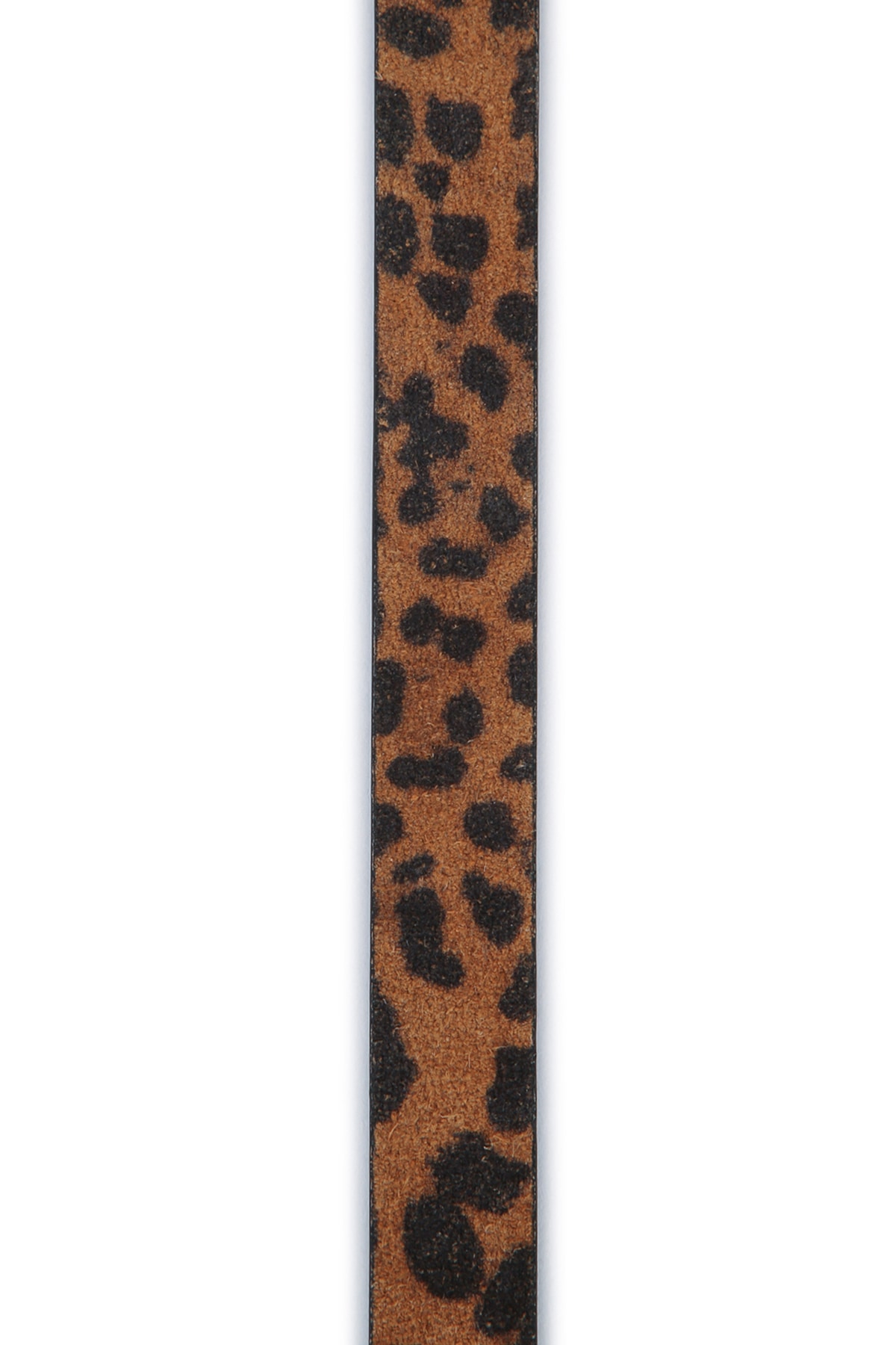 [PINKO] Belt SS26 106406A32A M35Q