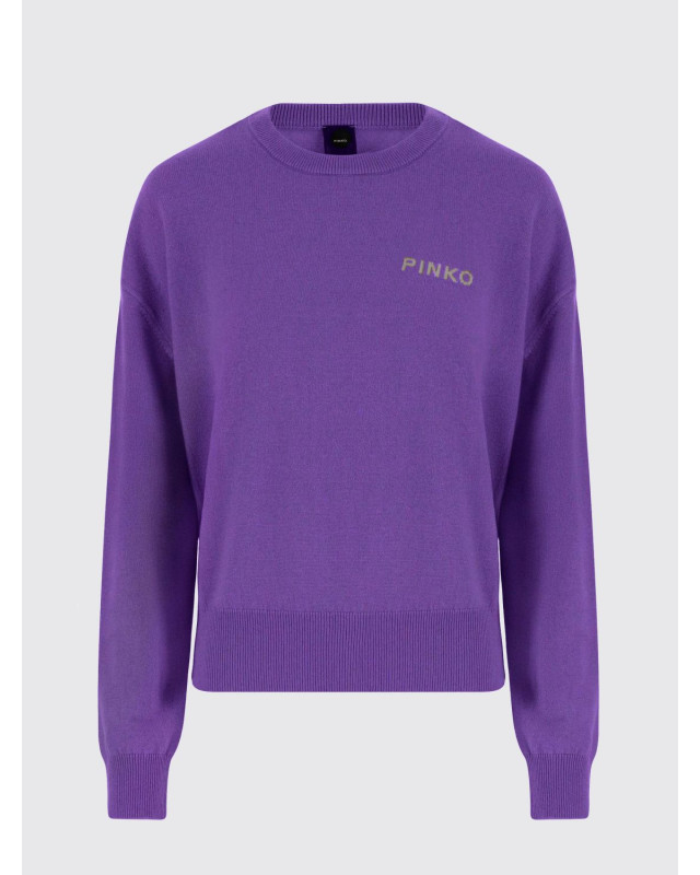 [PINKO] Knitwear FW25 105561A2SI YC6