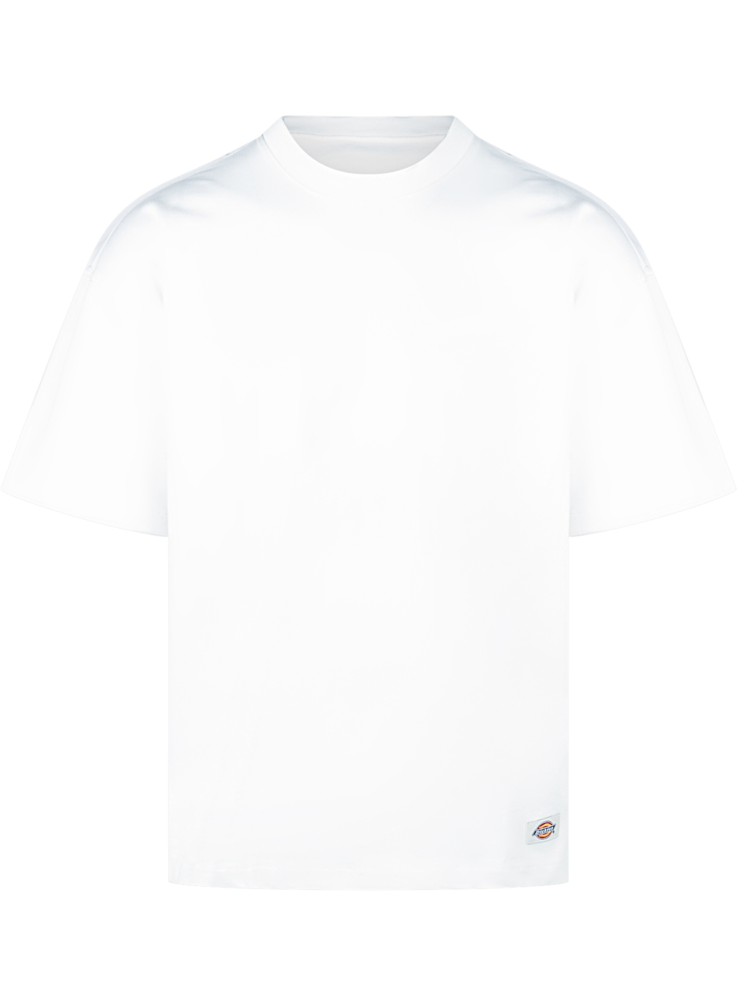 [DICKIES THREADS] T-shirts Short Sleeve FW25 DK0A87QEC481 C481