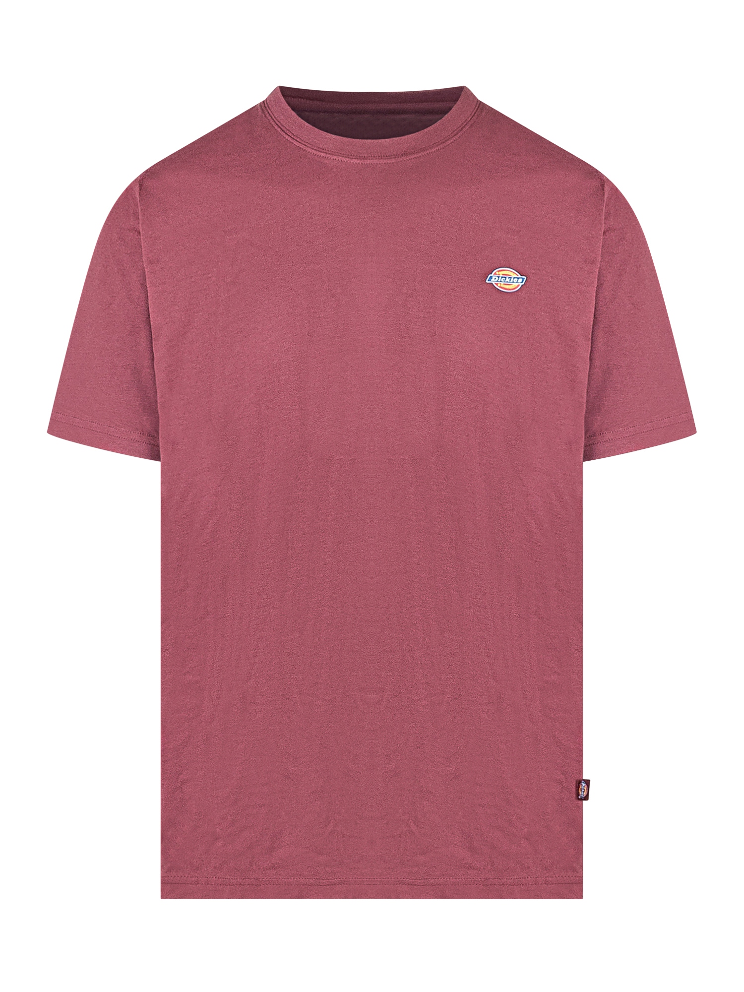 [DICKIES] T-shirts Short Sleeve FW25 DK0A4XDBL161 L161