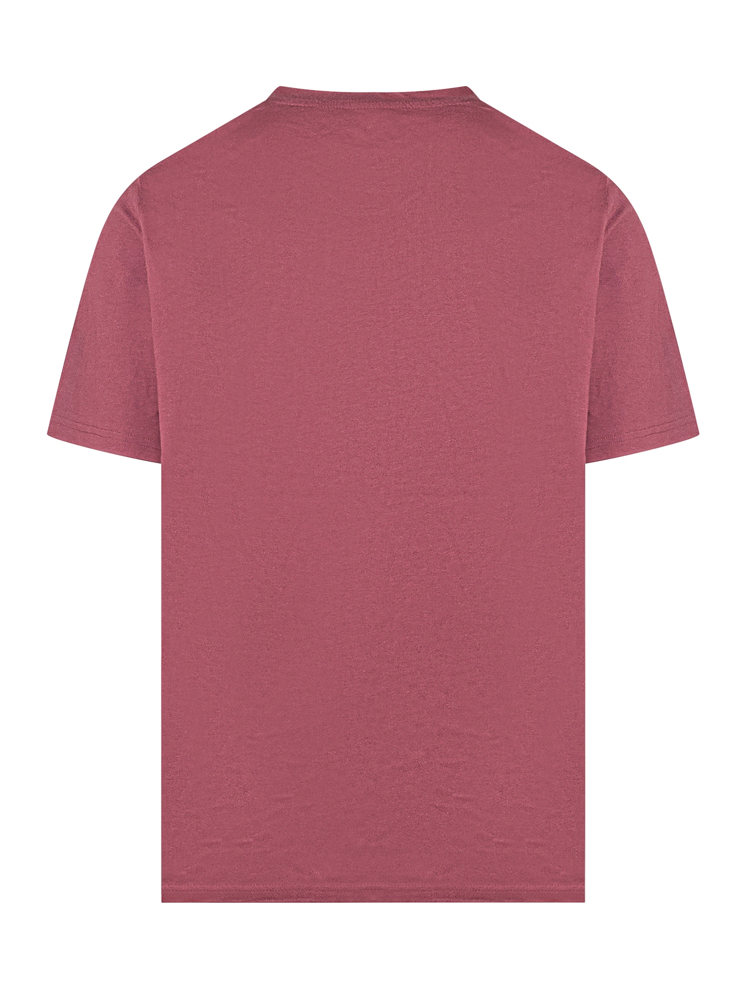 [DICKIES] T-shirts Short Sleeve FW25 DK0A4XDBL161 L161