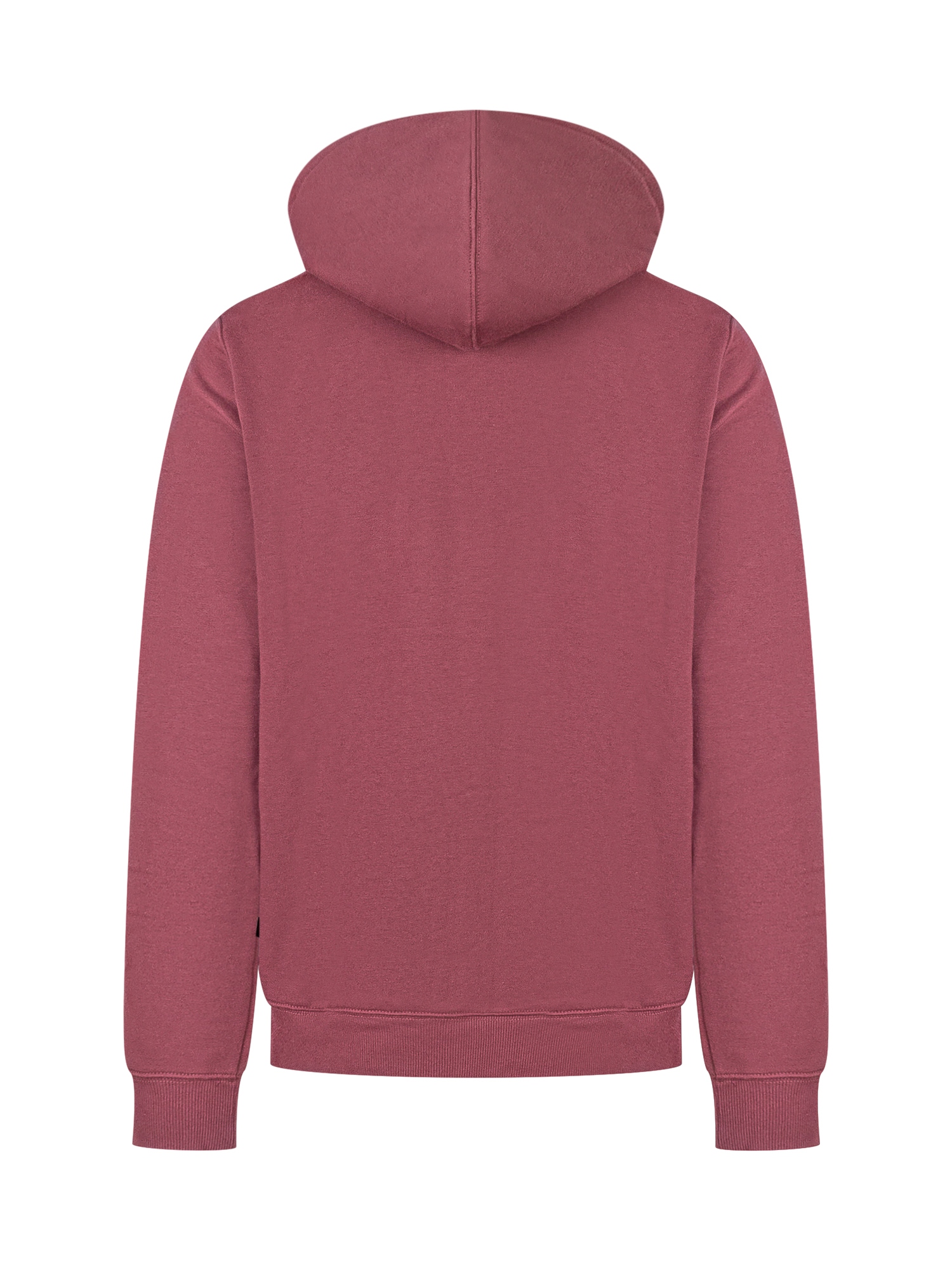 [DICKIES] Hoodie FW25 DK0A4XCDL161 L161