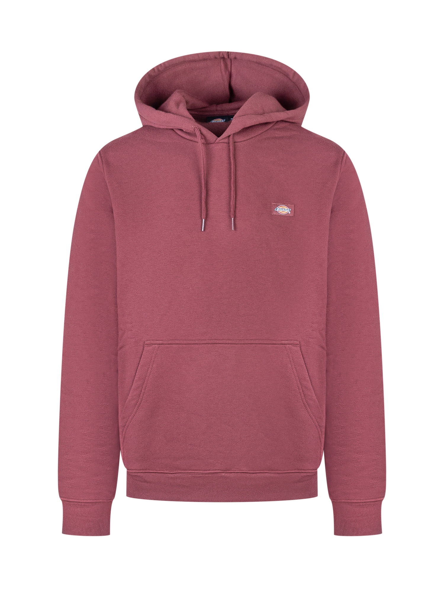 [DICKIES] Hoodie FW25 DK0A4XCDL161 L161