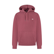 [DICKIES] Hoodie FW25 DK0A4XCDL161 L161