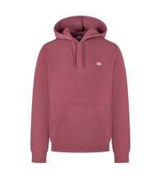 [DICKIES] Hoodie FW25 DK0A4XCDL161 L161