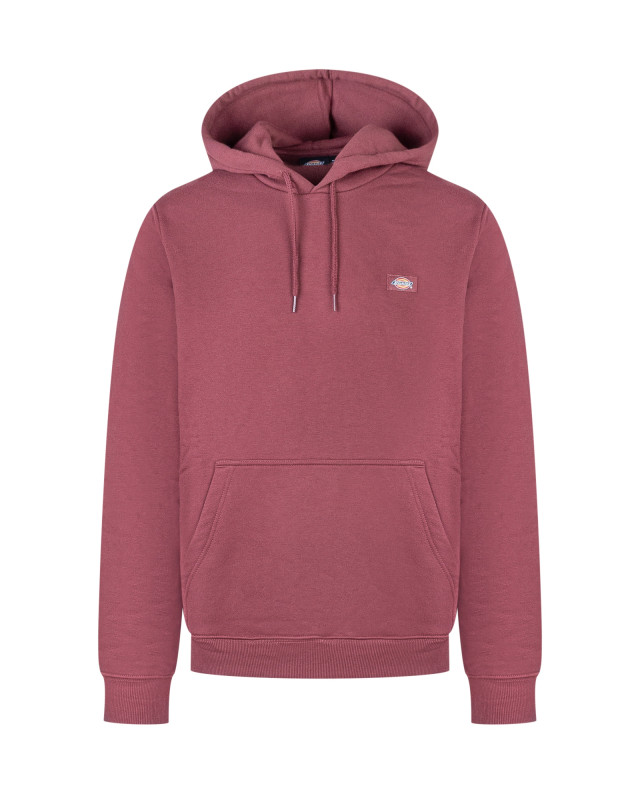 [DICKIES] Hoodie FW25 DK0A4XCDL161 L161