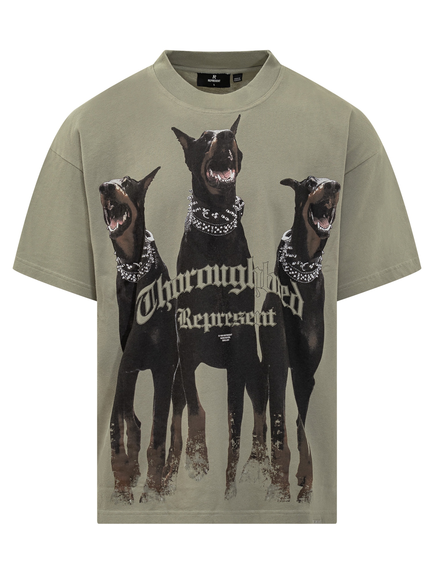 [Represent] T-shirts Short Sleeve FW25 MLM41135 066