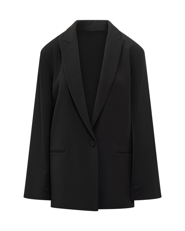 [Alberta Ferretti] Blazer FW25 05075134 0555