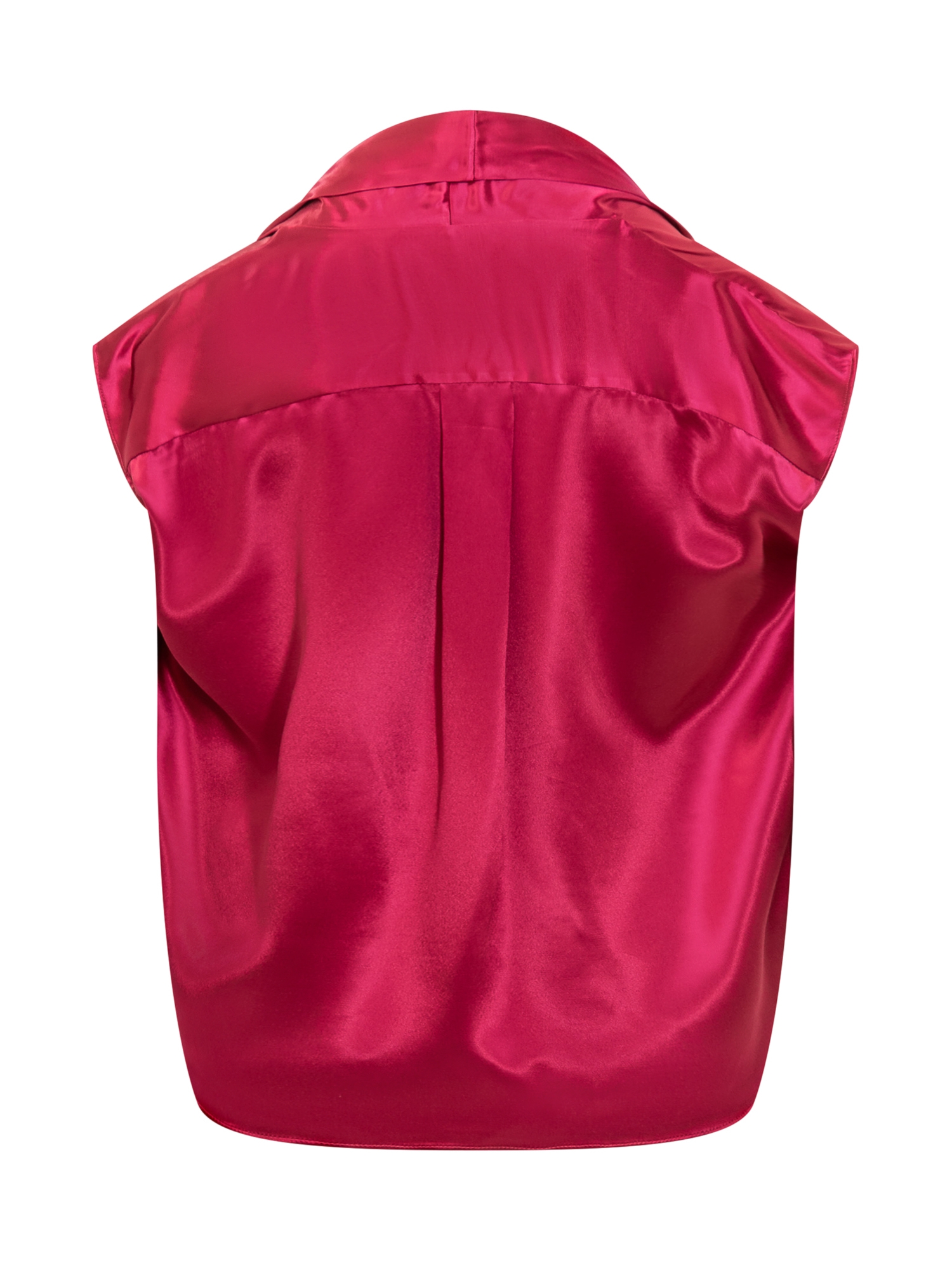 [Alberta Ferretti] Shirts Sleeveless FW25 02276627 0218