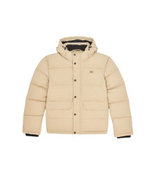 [DICKIES] Down Jacket FW23 DK0A4Y3WF951