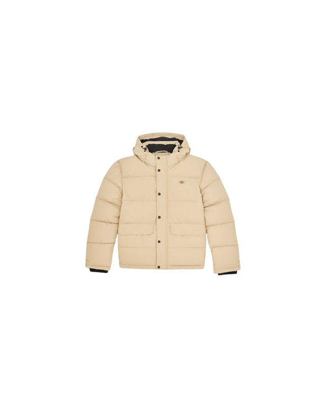 [DICKIES] Down Jacket FW23 DK0A4Y3WF951
