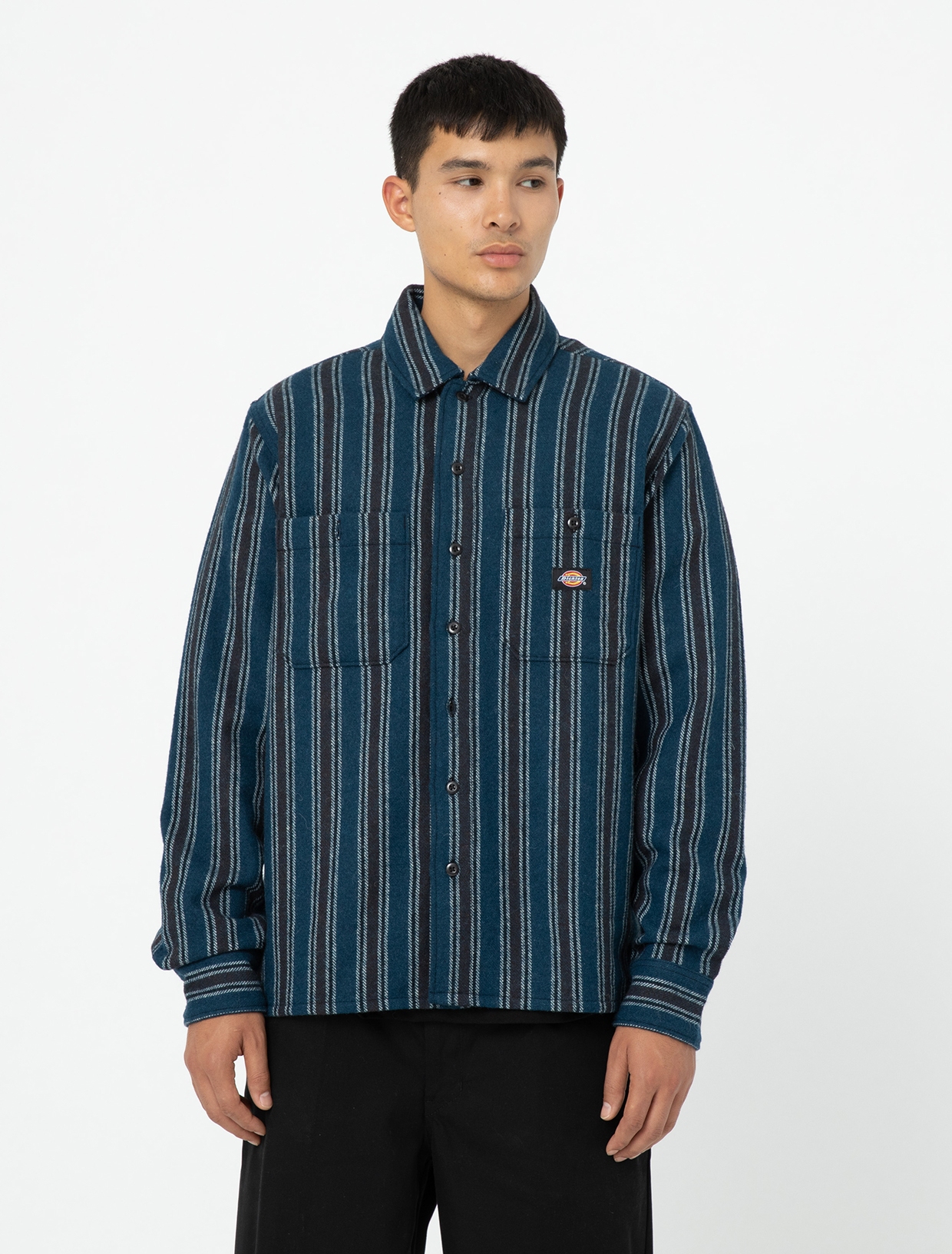 [DICKIES] Shirts Long Sleeve FW23 DK0A4YI6G221
