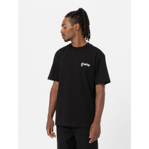 [DICKIES] T-shirts Short Sleeve FW23 DK0A4YFEBLK1