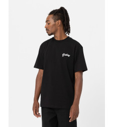 [DICKIES] T-shirts Short Sleeve FW23 DK0A4YFEBLK1