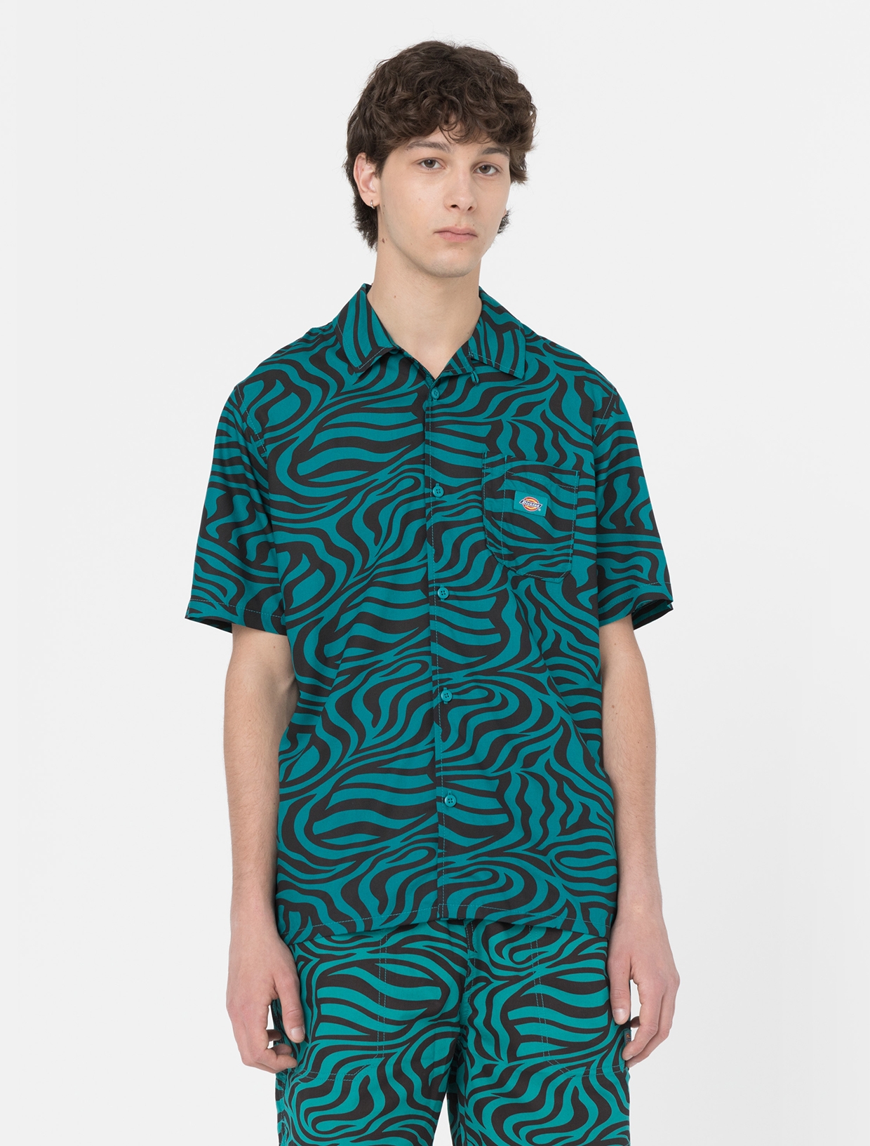 [DICKIES] Shirts Short Sleeve SS23 DK0A4Y7JF301