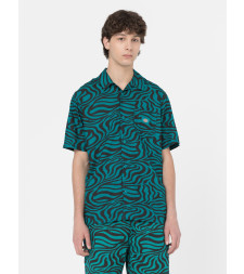 [DICKIES] Shirts Short Sleeve SS23 DK0A4Y7JF301