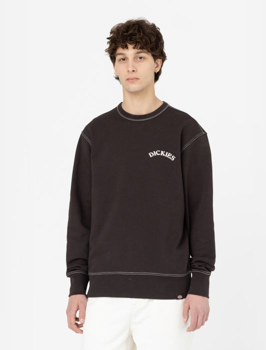 [DICKIES] Sweatshirt SS23 DK0A4Y6KDBX1